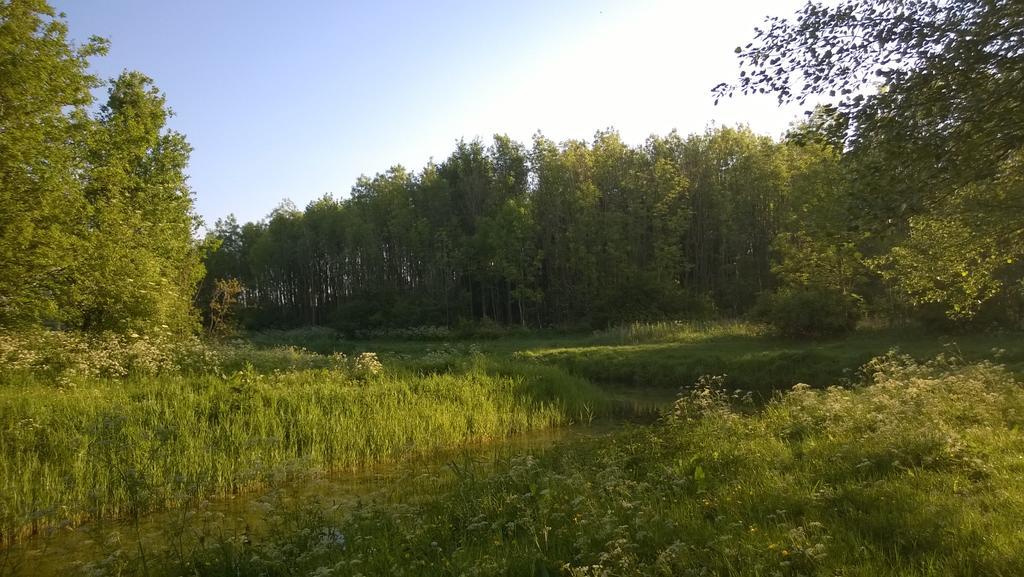 Bed & Breakfast Boszicht Леуварден Номер фото